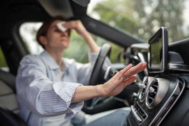 Best Affordable Air Conditioning Repair  in Boulder Hl, IL